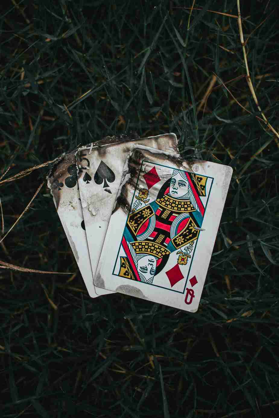 CasinoChan vs. the Competition: A Comprehensive Comparison